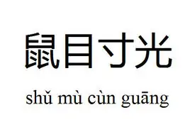 鼠目寸光是什么意思啊(鼠目寸光什么意思?鼠目寸光怎么读?)-第1张图片-万福百科