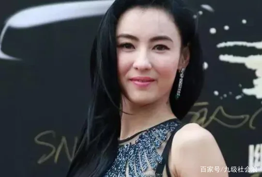 谢霆峰和张柏芝为什么要离婚?张柏芝与谢霆锋什么时候离婚的?-第33张图片-万福百科