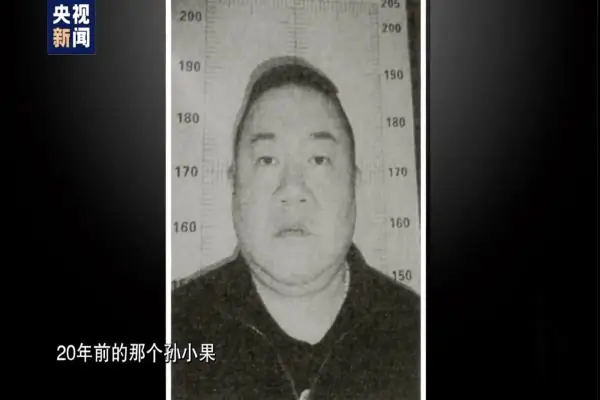 孙小果案件全过程来龙去脉是什么?孙小果案件是哪里-第18张图片-万福百科