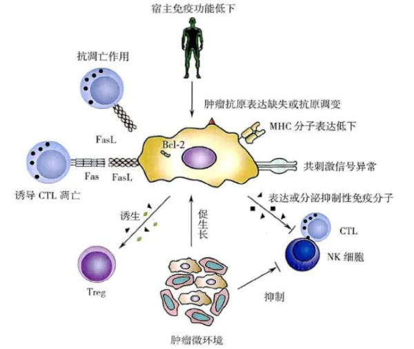 “疟原虫抗癌”真的靠谱吗?晚期肺癌脑转移还能用疟原虫治疗吗-第3张图片-万福百科