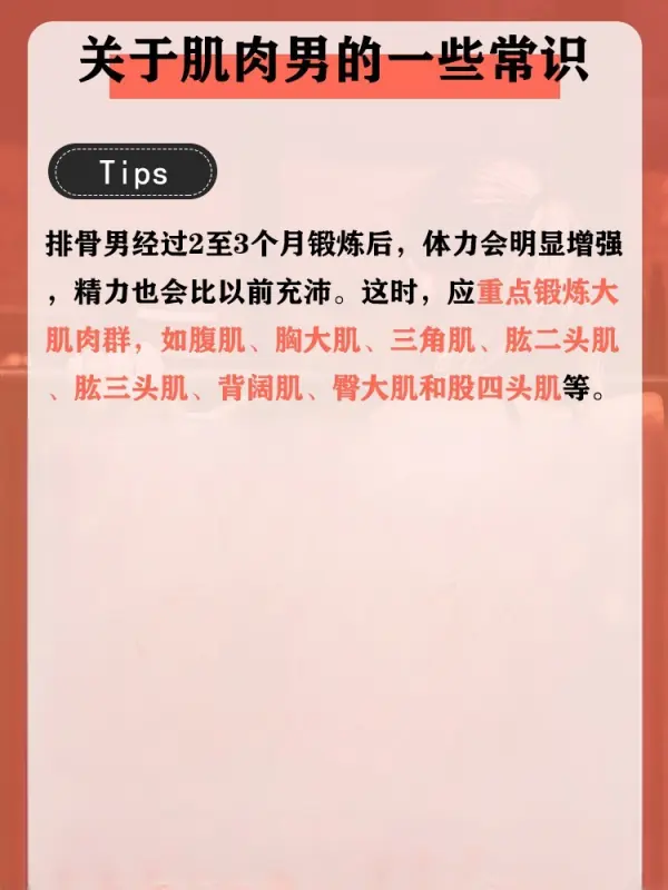 肌肉锻炼的更佳时间段是多少(请问锻炼肌肉更佳时间是什么时候?)-第2张图片-万福百科