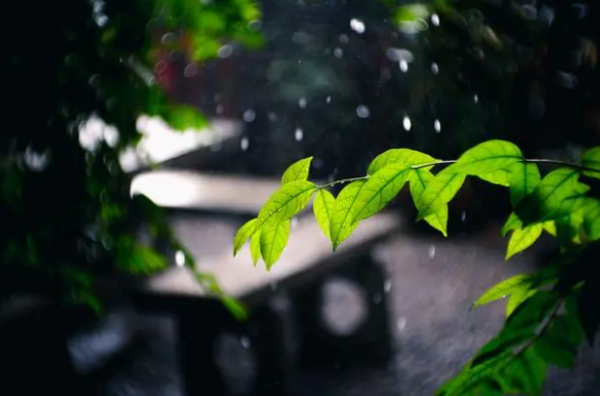 梅雨是什么雨呢?怎么说呢?-第1张图片-万福百科