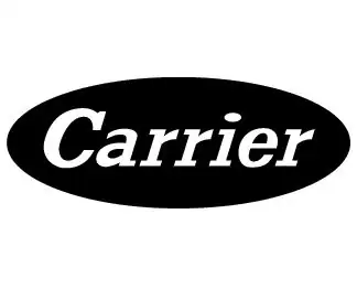 carrier中文是什么意思(mail carrier是什么意思)-第1张图片-万福百科