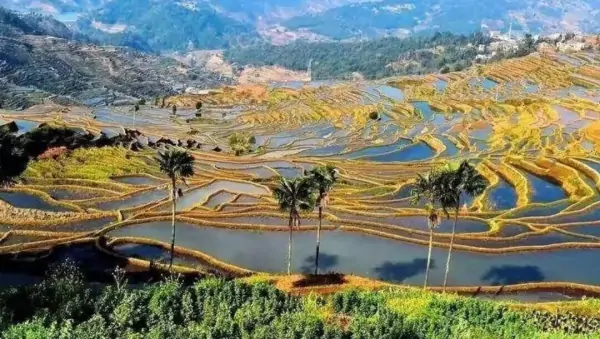 日历上的芒种是什么意思 芒种节气的含义是什么意思(芒种的寓意是什么意思)-第2张图片-万福百科