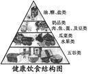 帮忙简述下中国人金字塔饮食结构(营养金字塔是什么结构?)-第1张图片-万福百科