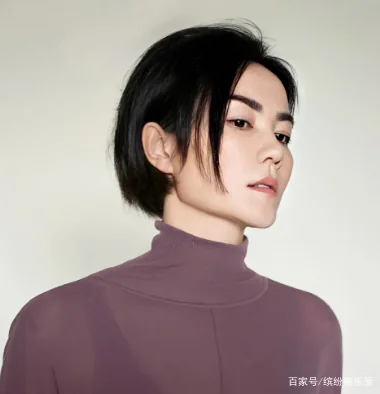 谢霆锋和张柏芝什么时候离婚的(张柏芝与谢霆锋什么时候离婚的?)-第21张图片-万福百科