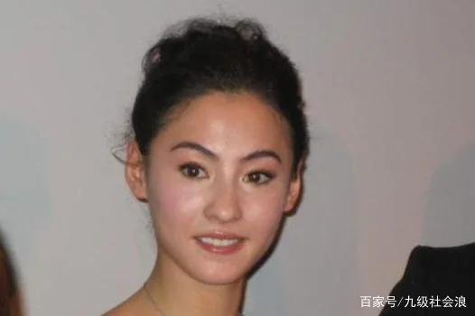 谢霆峰和张柏芝为什么要离婚?张柏芝与谢霆锋什么时候离婚的?-第38张图片-万福百科