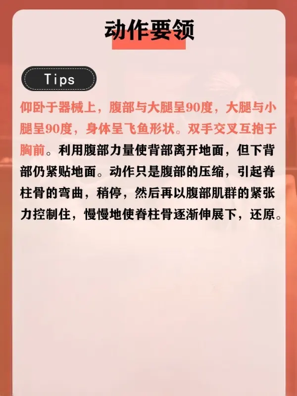 肌肉锻炼的更佳时间段是多少(请问锻炼肌肉更佳时间是什么时候?)-第3张图片-万福百科