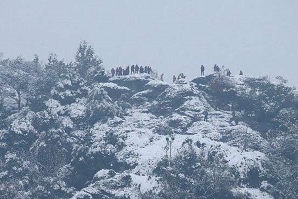 《今年冬天下雪吗》这本小说怎么样?岳阳今年冬天下雪吗?-第4张图片-万福百科