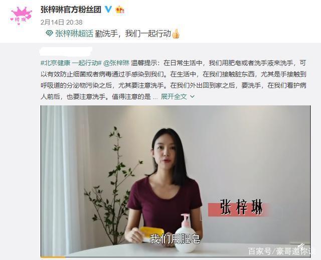 为什么董卿一露面就会惊艳到观众呢？董卿为什么消失了-第5张图片-万福百科