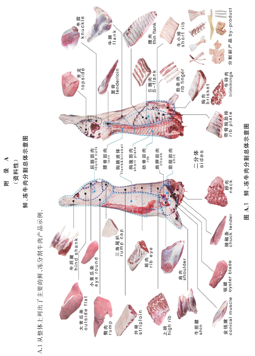 牛肉哪个部位是牛腩啊?牛腩属于牛肉哪个部位牛腩肉是哪个部位-第4张图片-万福百科