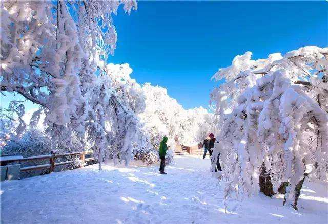 《今年冬天下雪吗》这本小说怎么样?岳阳今年冬天下雪吗?-第9张图片-万福百科