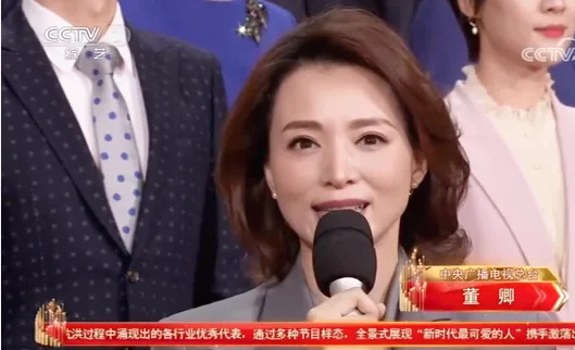 为什么董卿一露面就会惊艳到观众呢？董卿为什么消失了-第35张图片-万福百科