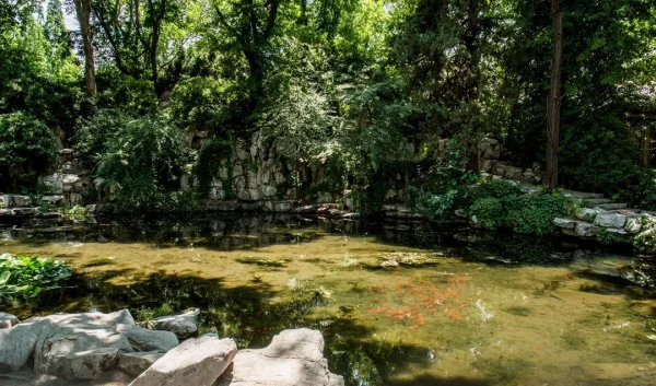 大明湖畔在哪里 怎么去大明湖(大明湖畔在哪个省,大明湖畔在哪个省份)-第10张图片-万福百科