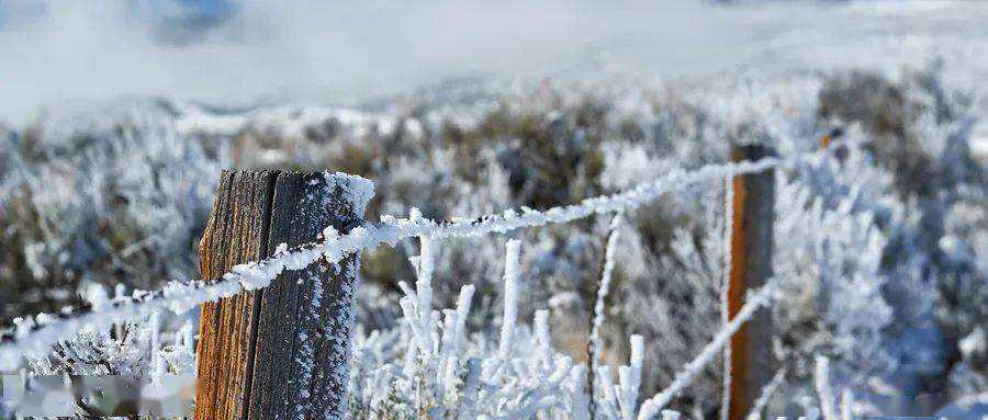 《今年冬天下雪吗》这本小说怎么样?岳阳今年冬天下雪吗?-第16张图片-万福百科