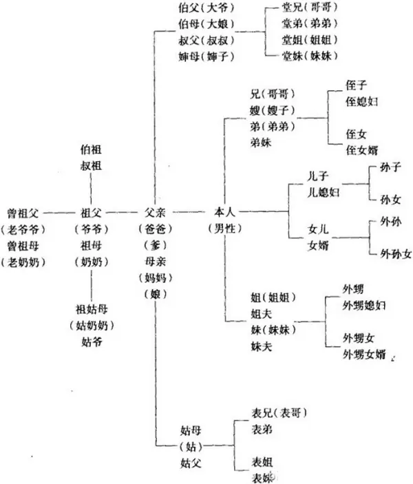 中国人亲戚关系图表的其他方面(介绍一下亲戚关系的树状图表?)-第1张图片-万福百科