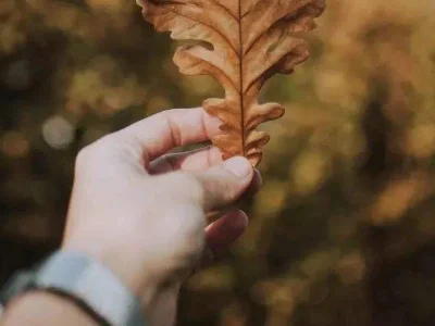 致自己的一句话有哪些呢?致自己很经典的一句话-第1张图片-万福百科