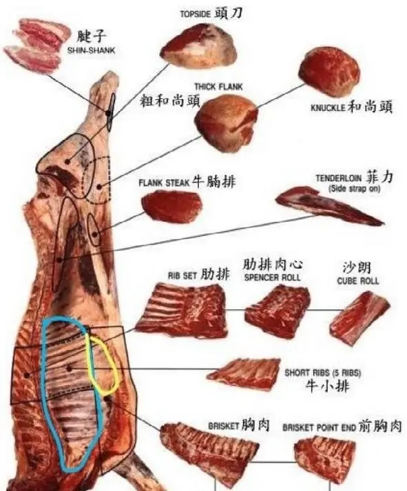 牛肉哪个部位是牛腩啊?牛腩属于牛肉哪个部位牛腩肉是哪个部位-第2张图片-万福百科