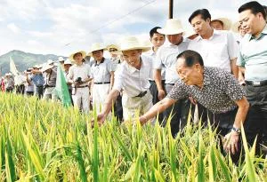 袁隆平逝世一周年,关于他的事迹你了解多少-第7张图片-万福百科