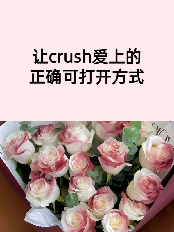 crush是暧昧对象吗(暧昧对象英文crush)-第4张图片-万福百科