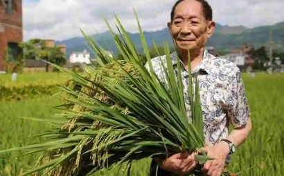 袁老逝世一周年,我们该如何表达自己对其的思念之情?-第3张图片-万福百科