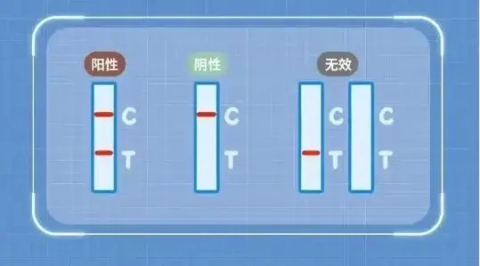 抗原检测试剂盒使用 *** 视频教程图片-第13张图片-万福百科