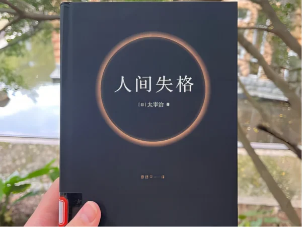 完本小说排行榜谁有(09完本小说排行榜)-第2张图片-万福百科