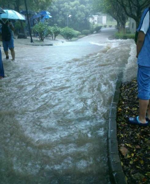 8.2珠海预警天气预报(珠海常年天气怎么样)-第3张图片-万福百科