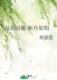 月在回廊新月如钩好看吗(月在回廊-新月如钩的简介)-第1张图片-万福百科