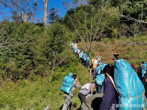 哀牢山为什么叫哀牢山 叫哀牢山的原因(哀牢山为啥叫哀牢山?)-第9张图片-万福百科