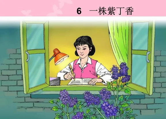 新安小学的学校简介(深圳新安小学是公立的吗)-第2张图片-万福百科