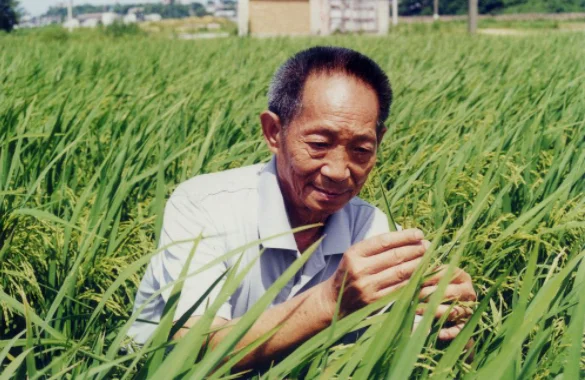 袁老逝世一周年,我们该如何表达自己对其的思念之情?-第10张图片-万福百科