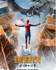 spider man是什么意思(spider man不认识怎么读)-第3张图片-万福百科