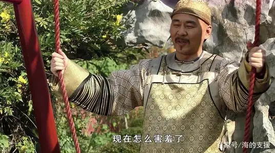 有后宫甄嬛传剧情介绍吗(甄嬛传43集剧情介绍)-第10张图片-万福百科