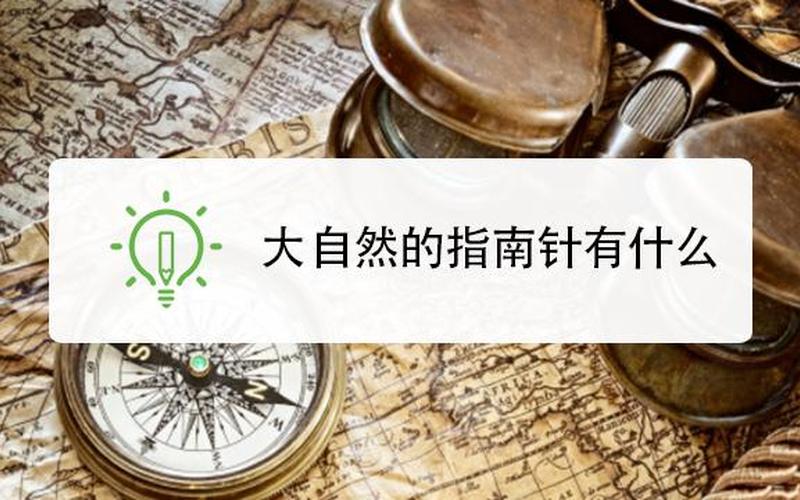 15个天然指南针,探索自然之美：15个天然指南针的引领之旅-第1张图片-万福百科