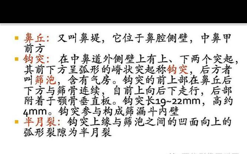 窦口鼻道复合体- 新视角下的解析-第1张图片-万福百科