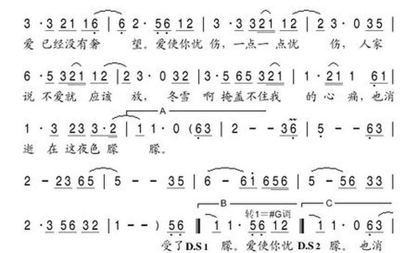 爱与忧伤的交织：胡佳琛的故事-第1张图片-万福百科