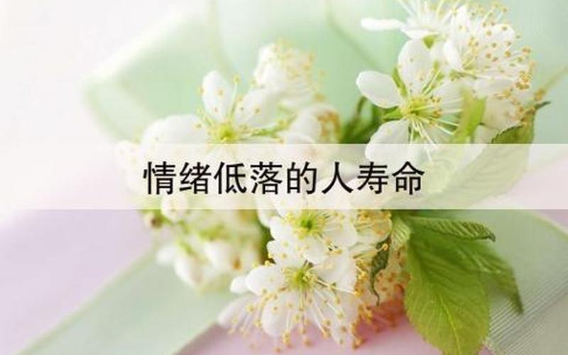 多愁善感的人啊飘啊摇啊这一生,多愁善感者的情感世界-第1张图片-万福百科