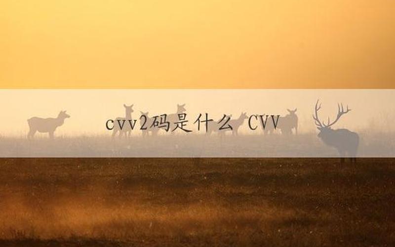 cvv2是什么,CVV2：信用卡安全码的解读-第1张图片-万福百科