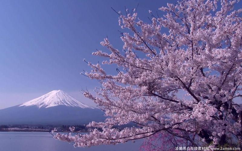 富士山下国语版是什么歌名-富士山下的国语风情-第1张图片-万福百科