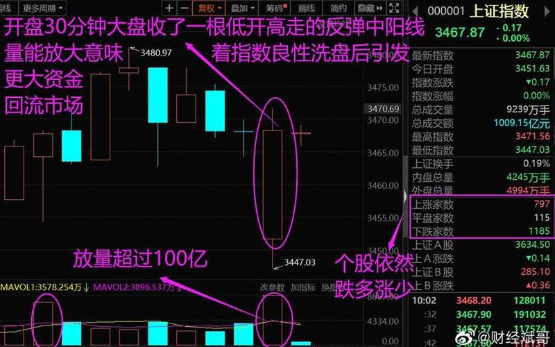 787股票网,787股票网：股市投资必备平台-第1张图片-万福百科