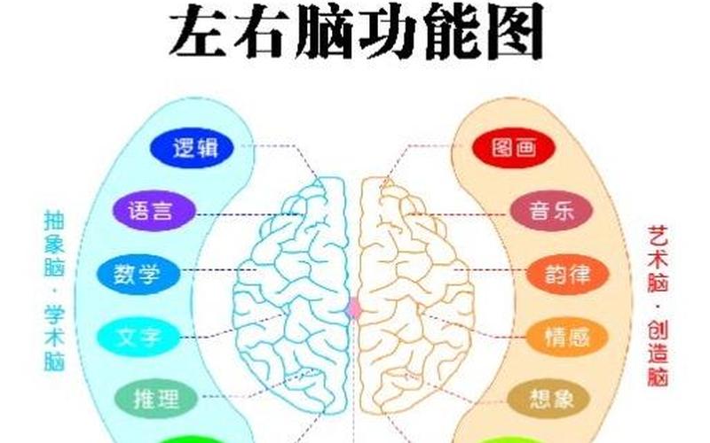 灰白之间：探索人类大脑的奥秘-第1张图片-万福百科