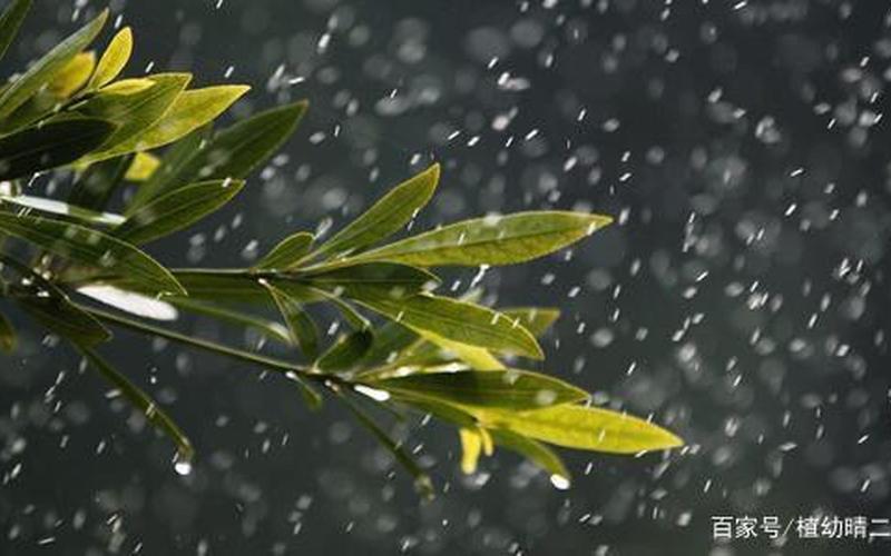 哗啦啦天在下雨(哗啦啦天，雨声阵阵)-第1张图片-万福百科