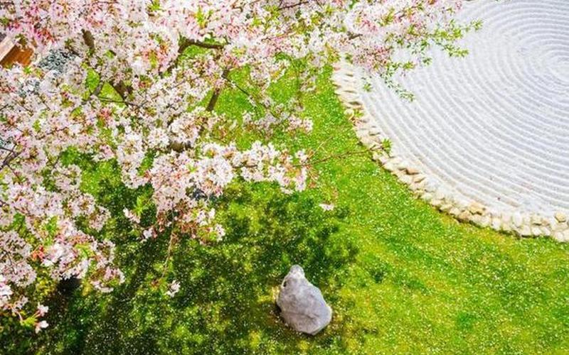 春日初晴，花开如诗-第1张图片-万福百科