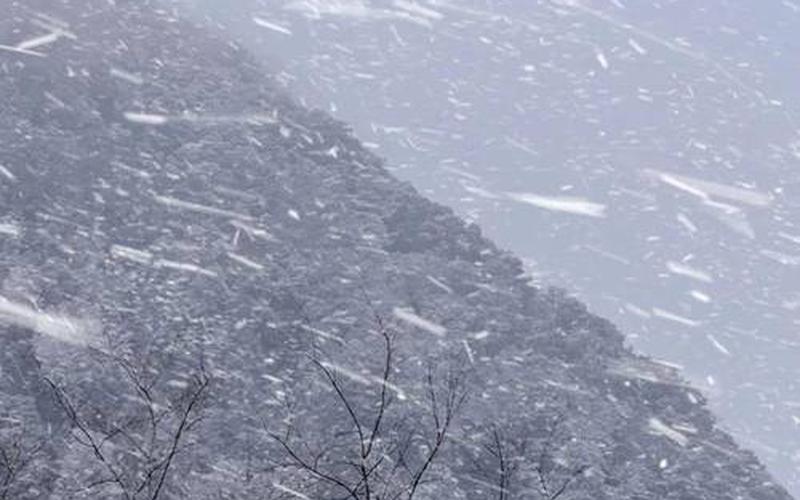 鹅毛大雪，银装素裹，寒冬美景-第1张图片-万福百科