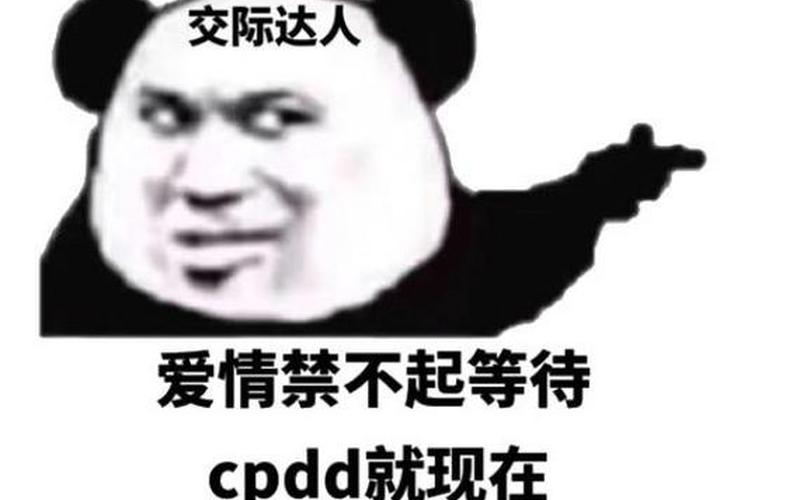 cpdd是啥意思,CPDD解析：探究CPDD的真正含义-第1张图片-万福百科