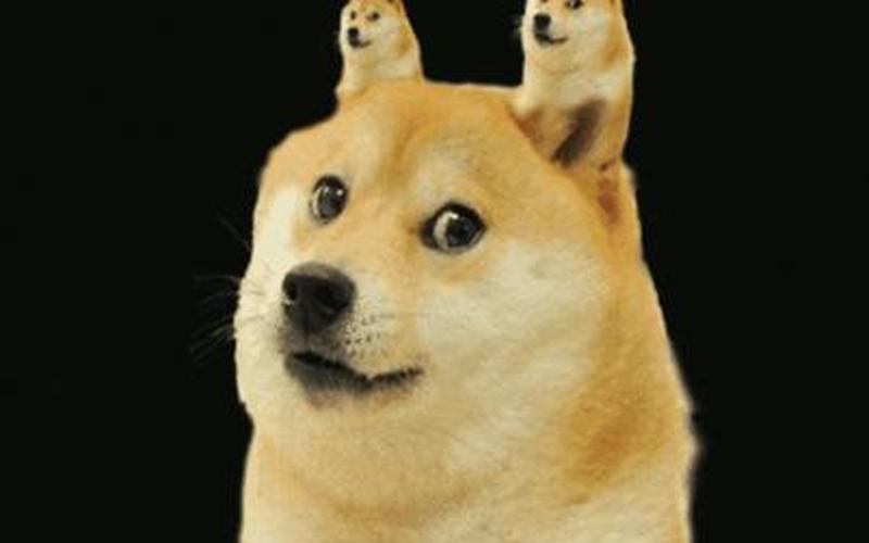 doge什么意思,doge意味着什么？解密这个网络热词的真正含义-第1张图片-万福百科