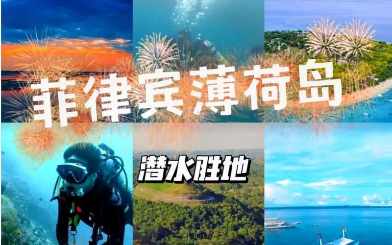 海青简介：探寻这个神秘的海洋生物世界-第1张图片-万福百科