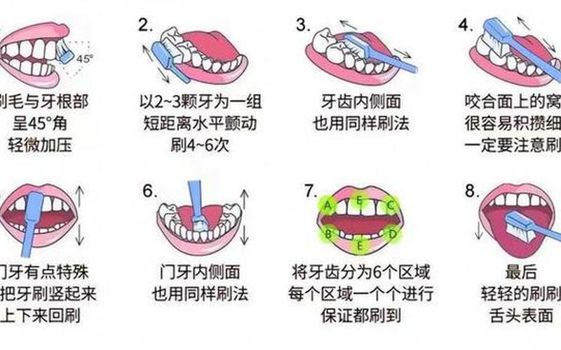 巴氏刷牙法怎么刷牙 Bass刷牙法：保护牙齿健康的有效 *** -第1张图片-万福百科