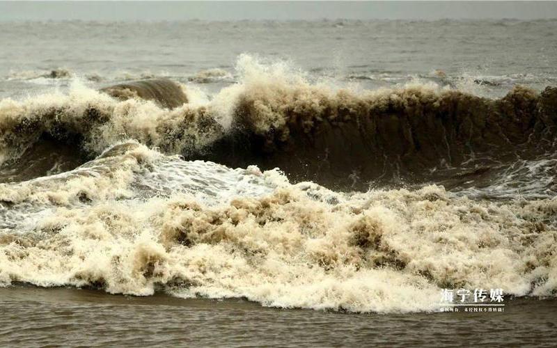 春潮带雨晚来急的下一句是什么-春雨滋润大地，春潮澎湃人心-第1张图片-万福百科